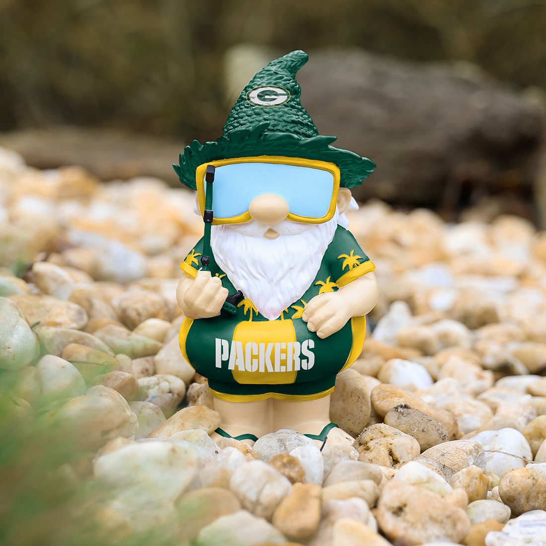 green bay packers gnome