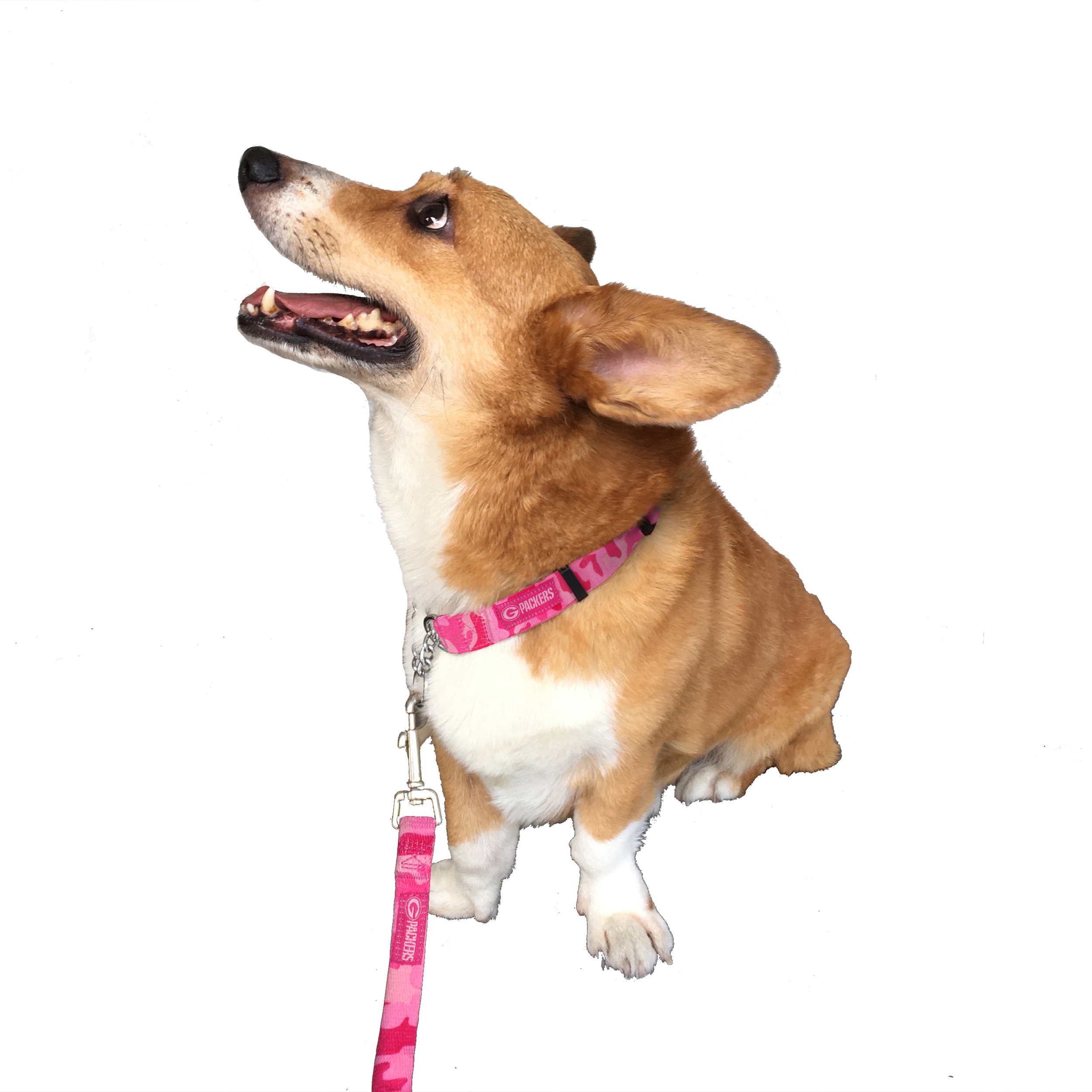 pink camo dog leash