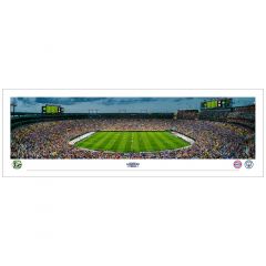 Soccer 2022 Panoramic - Unframed