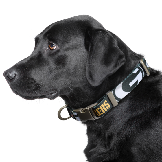Packers dog collar clearance