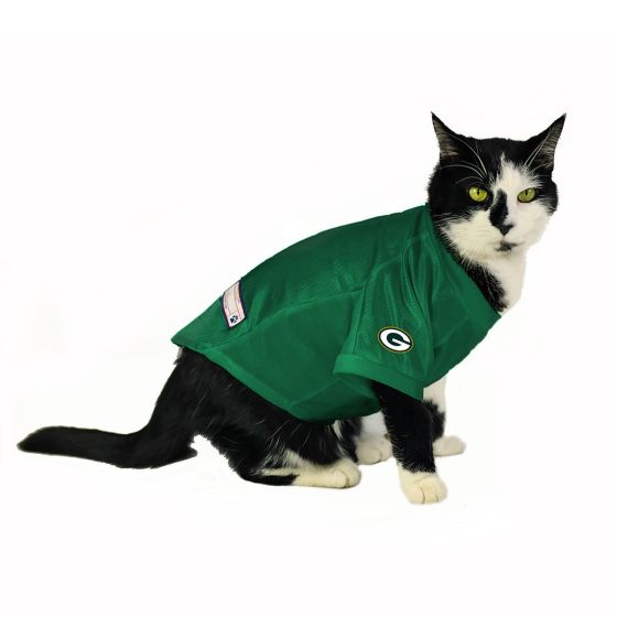Green bay packers cat jersey store
