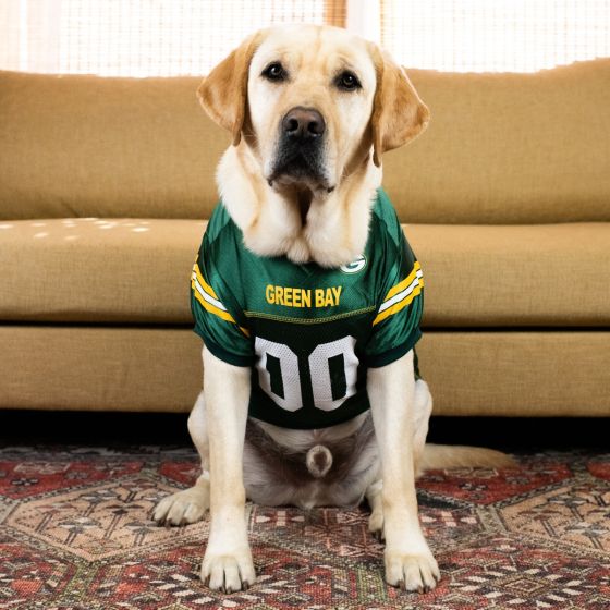 Packers Pet Mesh Game Jersey