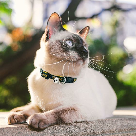 Siamese cat collar discount