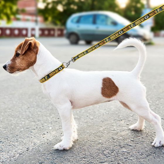 Packers dog collar clearance