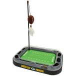 Packers Cat Scratcher Toy