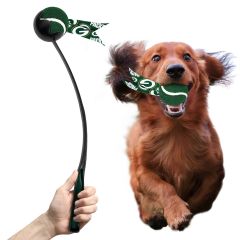 Packers Pet Ball Launcher