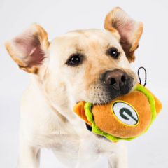 Packers Hamburger Pet Toy