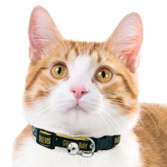Packers Satin Cat Collar