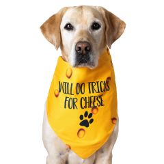 Cheesehead&reg; Pet Bandana
