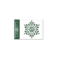 Lambeau Field Snowflake Magnet