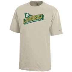 Lambeau Field Champion Youth Diagonal T-Shirt